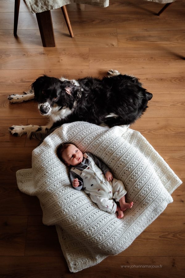 bébé avec son chien à la maison